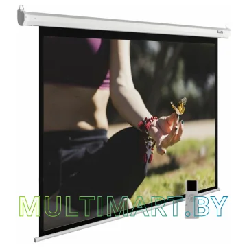 Проекционный экран CACTUS MotoExpert 200x200 (CS-PSME-200x200-WT)